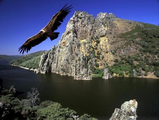 Posada El Arriero Torrejón el Rubio Exteriör bild